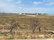 Продаётся  участок 250 сот, пос. Мамедли, photo 3 from 5