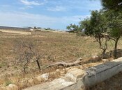 Продаётся  участок 250 сот, пос. Мамедли, photo 4 from 5