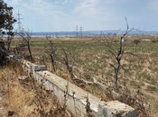 Elan №5919918 - Bakı, Məmmədli q., 250 sot