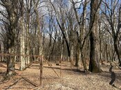 Satılır  torpaq 350 sot, photo 8 from 8