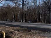 Satılır  torpaq 350 sot, photo 2 from 8