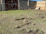 Продаётся  участок 10 сот, пос. Мамедли, photo 2 from 4