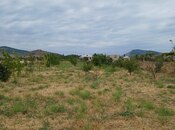 Elan №5920224 - Şabran, Şabran, 20 sot