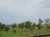 Satılır  torpaq 20 sot, photo 5 from 5