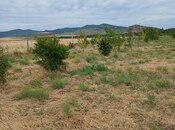 Satılır  torpaq 20 sot, photo 2 from 5