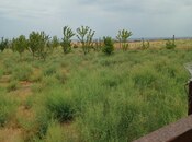 Satılır  torpaq 20 sot, photo 3 from 5