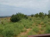 Satılır  torpaq 20 sot, photo 4 from 5