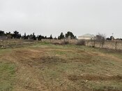 Elan №5916722 - Bakı, Albalılıq q., 24 sot