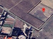 Satılır  torpaq 100 sot, Fatmayı q., photo 2 from 4