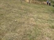 Satılır  torpaq 20 sot, photo 7 from 8