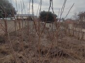 Satılır 7 otaqlı həyət evi/bağ evi 390 m², Neftçilər m., photo 7 from 8