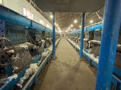 Elan №5920552 - Salyan, Salyan, 9000 m²