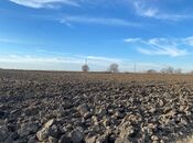 Elan №5920554 - Salyan, Salyan, 21.5 sot