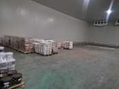 İcarəyə verilir  obyekt 3 464 m², photo 7 from 7