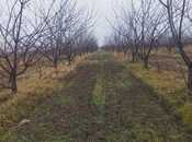 Satılır  torpaq 400 sot, Xaçmaz r., photo 3 from 7