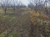 Satılır  torpaq 400 sot, Xaçmaz r., photo 2 from 7