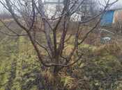 Satılır  torpaq 400 sot, Xaçmaz r., photo 6 from 7