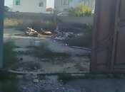 Satılır  torpaq 15 sot, Buzovna q., photo 5 from 5