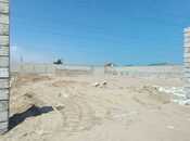 Продаётся  участок 100 сот, пос. Шувеляны, photo 5 from 7