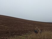 Объявление №5921311 - Агдаш, Агдаш, 1800 сот