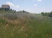 Satılır  torpaq 60 sot, photo 4 from 8