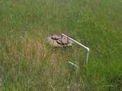 Satılır  torpaq 60 sot, photo 7 from 8