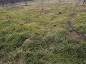 Продаётся  участок 10 сот, Хачмазский р., photo 3 from 3