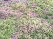 Продаётся  участок 10 сот, Хачмазский р., photo 2 from 3