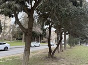 Сдаётся 3-комн. вторичка 70 м², м. Ахмедлы, photo 4 from 8