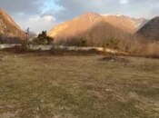 Объявление №5921494 - Гах, Гах, 70 сот