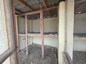 Satılır  obyekt 15 m², Türkan q., photo 2 from 8