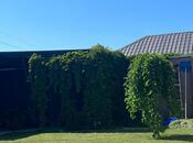 Продаётся 4-комн. дом/дача 165 м², пос. Мардакан, photo 6 from 8