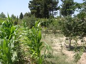 3 otaqlı həyət evi/bağ evi - Sumqayıt - 122.1 m²