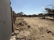 Объявление №5922548 - Баку, пос. Гала, 12.5 сот