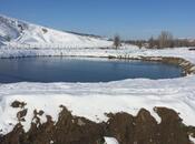 Elan №5923049 - Şamaxı, Şamaxı, 280 sot