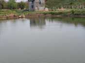 Satılır  torpaq 280 sot, photo 4 from 6