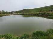 Satılır  torpaq 280 sot, photo 5 from 6