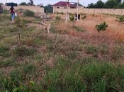 Satılır  torpaq 12 sot, Xaçmaz r., photo 7 from 8