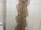 Продаётся 2-комн. новостройка 62 м², пос. Масазыр, photo 8 from 8