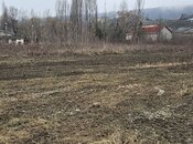 Объявление №5923477 - Гусар, Гусар, 3.4 сот