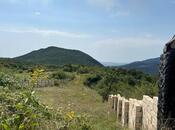 Объявление №5923509 - Шемаха, Шемаха, 12 сот