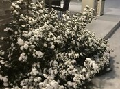Сдаётся 6-комн. дом/дача 320 м², пос. Бильгях, photo 6 from 8