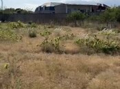 Satılır  torpaq 17 sot, Albalılıq q., photo 2 from 2