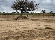 Продаётся  участок 11 сот, пос. Нардаран, photo 3 from 3