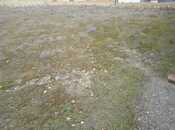 Satılır  torpaq 14 sot, Badamdar q., photo 1 from 4