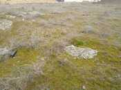 Satılır  torpaq 14 sot, Badamdar q., photo 3 from 4