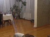 Elan №5924070 - Bakı, Sulutəpə q., 4 otaqlı, 130 m²