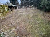 Satılır  torpaq 11.5 sot, Albalılıq q., photo 7 from 8