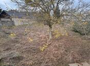 Satılır  torpaq 11.5 sot, Albalılıq q., photo 2 from 8