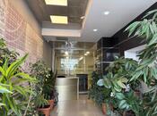 Продаётся 20-комн. офис 971 м², м. Ичеришехер, photo 4 from 8